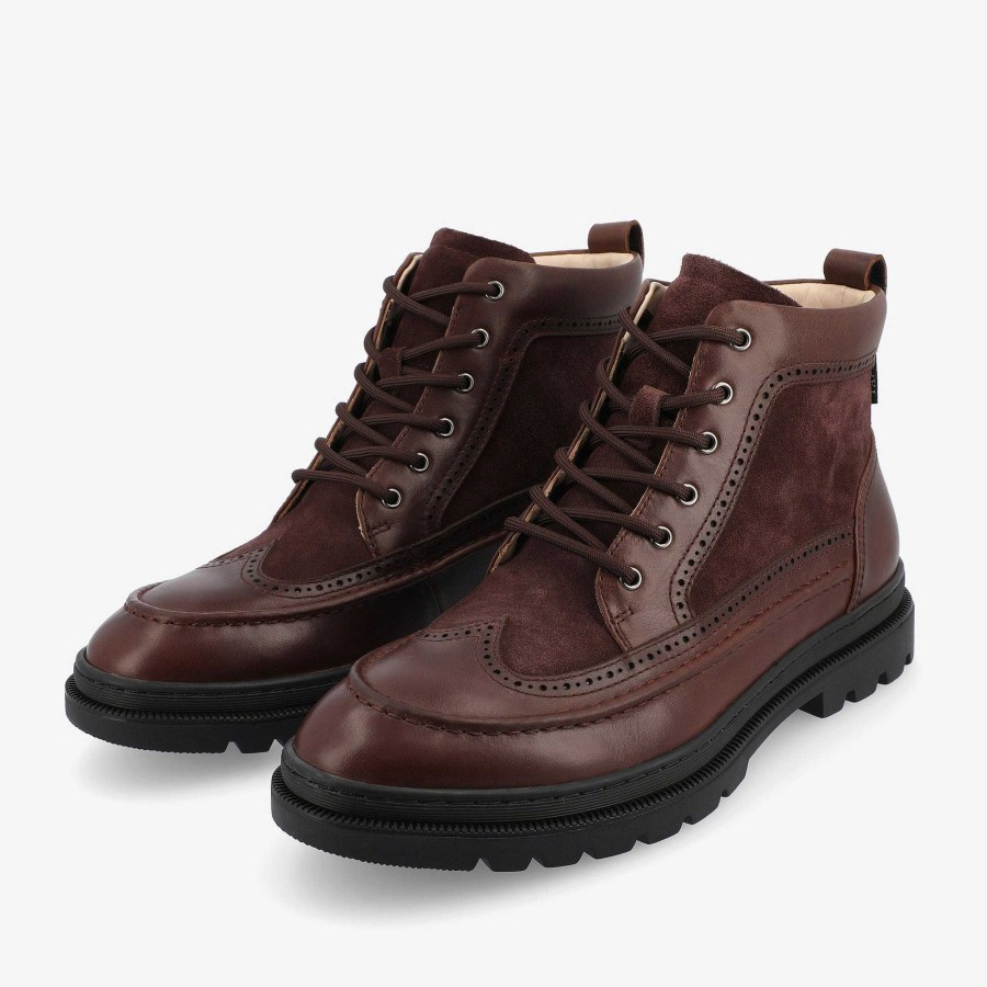 Taft 365|Taft 365 Boots TAFT | Model 008 Boot In Chocolate